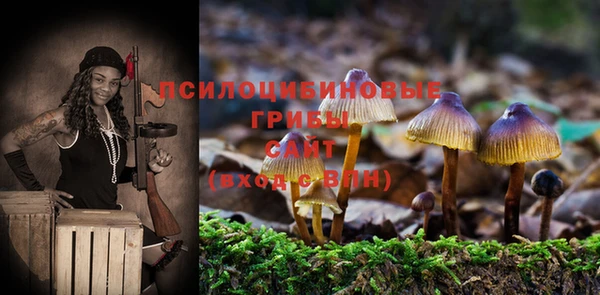 СК Володарск
