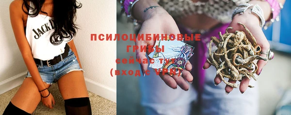 СК Володарск