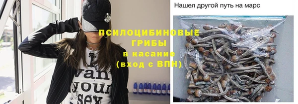 тгк Сатка